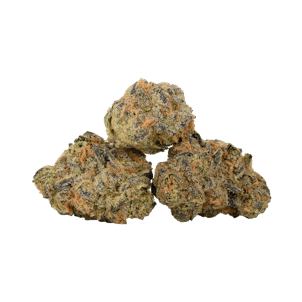 Photo of TABLE TOP Jungle Cake