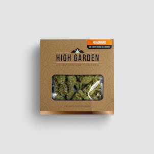 Product image for Headband 3.5G Hybrid Flower