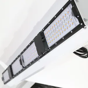 Photo of Dragon XL1200