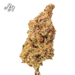 Photo of Banana Kush