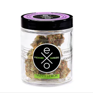 Photo of Trippy Lemon