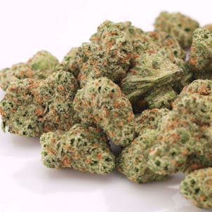 Photo of Headlight Flower