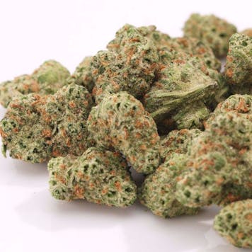 Photo of Headlight Flower