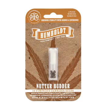 Photo of Nutter Butter Feminized Seeds 10-pack