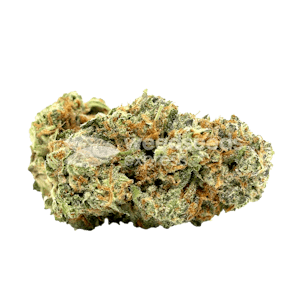 Photo of Lemon Tree Feminized Seeds