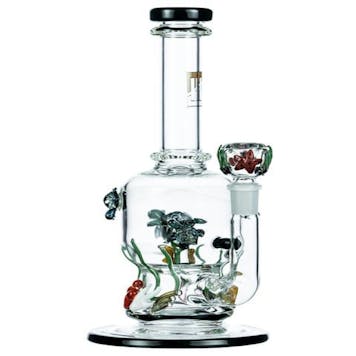 Photo of "East Australian Current" Bong