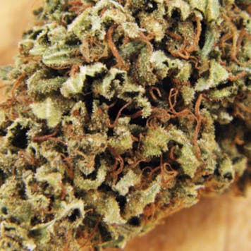 Photo of Sun Grown "OG Kush" (Indica)