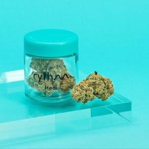 Photo of Otto - Heal