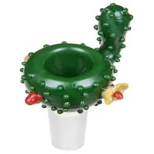 Photo of "Cactus Bowl"