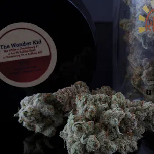 Photo of The Wonder Kid