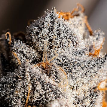 Photo of Oregon Indigo