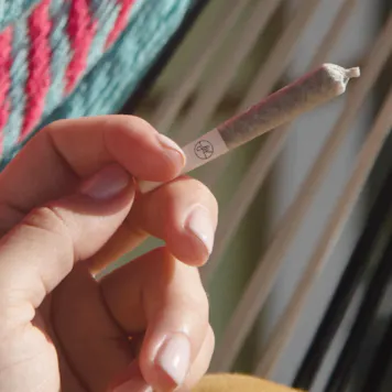 Photo of Jane West Night Pre-Rolls Mini Joints 5-pack 1.75g