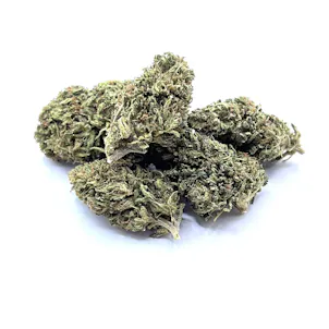 Photo of Forbidden V