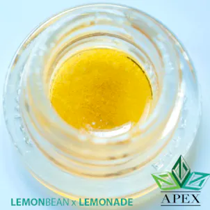 Photo of Lemon Bean x Lemonade ( Apex x Cali Kosher )