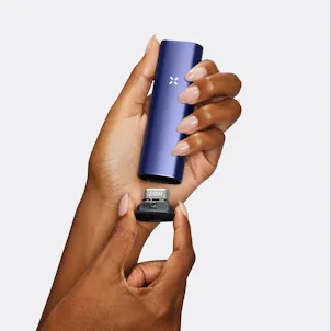 Photo of PAX PLUS - Periwinkle