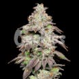 Fried Banana Feminized Cannabis Seeds