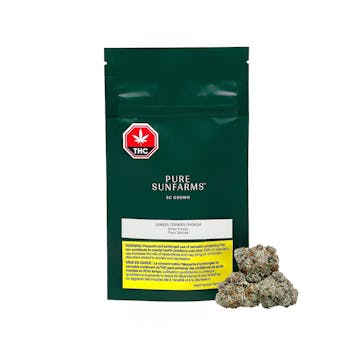 Photo of Ginger Dawg