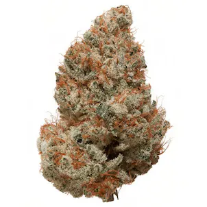 Photo of Indoor White CBG (Triploid)