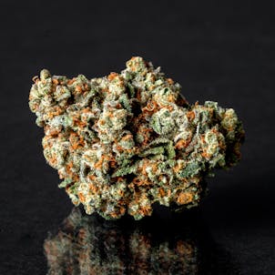 Photo of White Tahoe x GSC (f.k.a. Girl Scout Cookies)