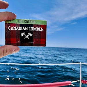 Photo of The Greens - 1.25 w/ Tips - Display Box (22)