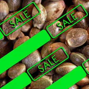 Photo of Mixed Seeds