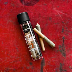 Photo of The Judge (1g) - Flyers Pre-Rolls