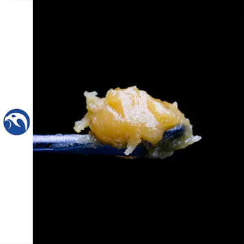 Photo of Tree Octopus Wax 1g