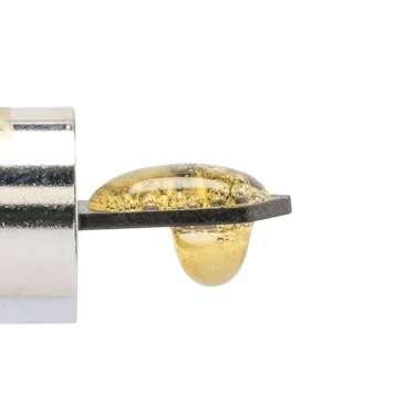 Photo of Tropical Runtz