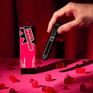 Photo of Candyland 2 Gram Delta 8 Disposable Vape