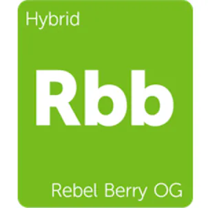 Photo of Rebel Berry OG