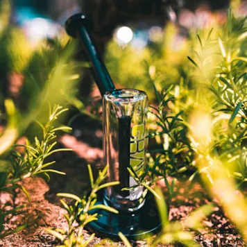 Photo of 7" Grav Upright Bubbler- Black Decal