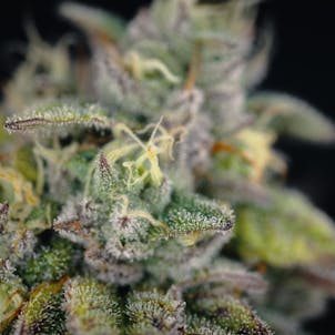 Photo of Ice Qwest a.k.a Ice Cream Cake