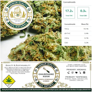 Photo of Champagne Kush