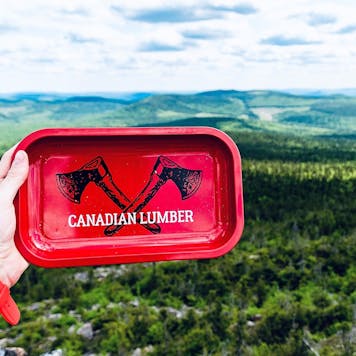 Photo of Big Red Rolling Tray | Medium