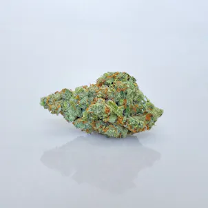 Photo of 1:1 Brian Berry Cough
