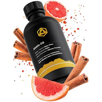 Photo of Diablo OG Terpene Profile