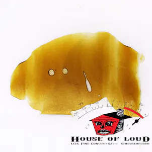 Photo of Gelato Shatter