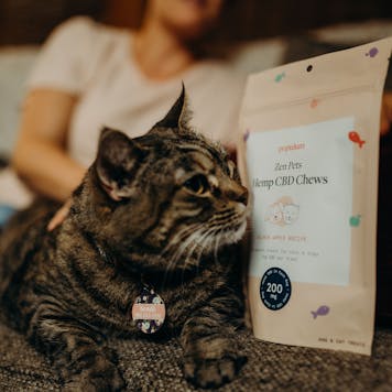 Photo of Zen Pets Hemp CBD Chews - Salmon & Apple