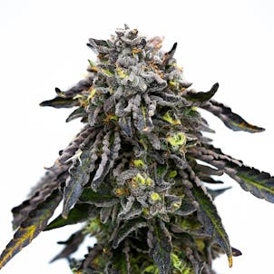 Photo of Good Day Farm: Sunset MAC | Flower | 3.5g