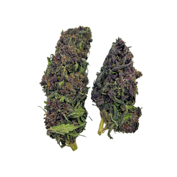 Photo of Blue Meringue CBD Hemp Flower