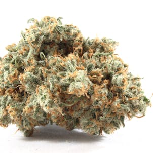 Photo of Kosher Jack