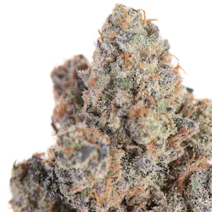 Photo of Point Break