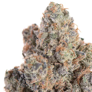 Photo of Point Break