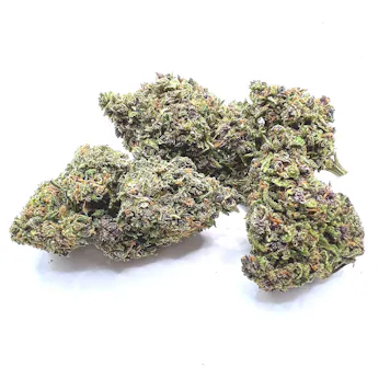 Photo of Pink Panther