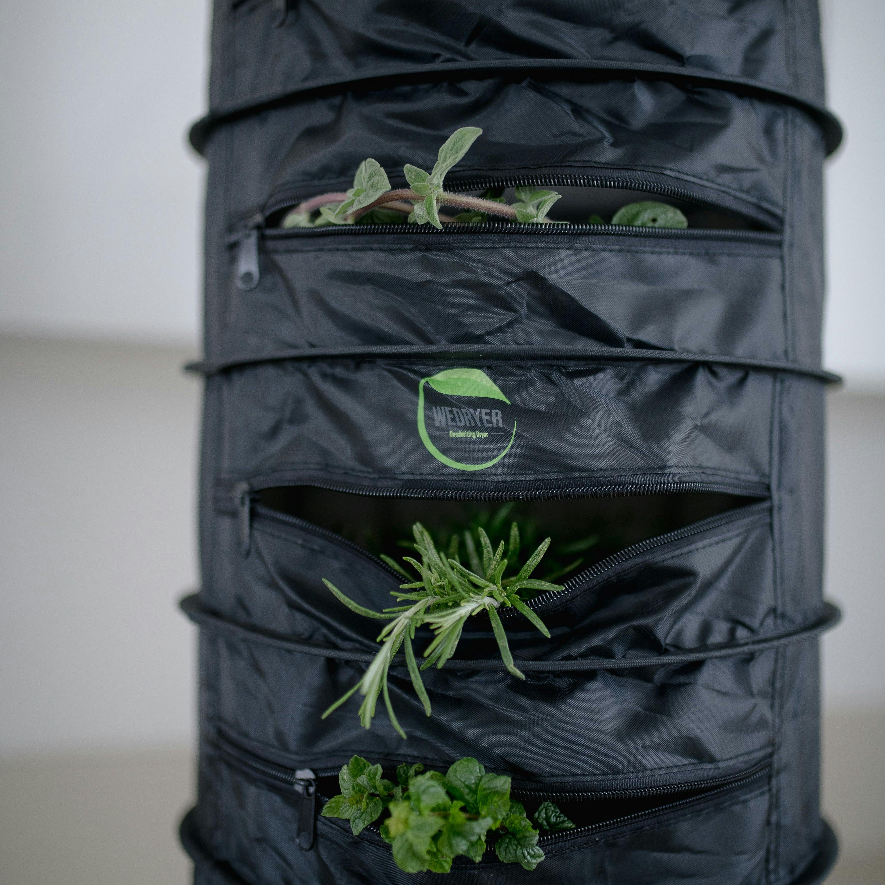 Wedryer Wedryer Leafly