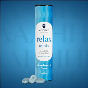 Photo of *Wonder Relax Minis (Blueberry) (40pk)