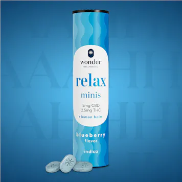 Photo of *Wonder Relax Minis (Blueberry) (40pk)