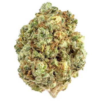 Photo of Grandpa's Stash