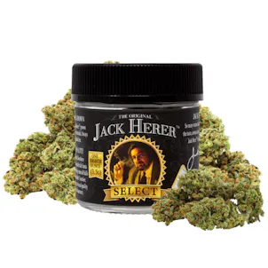 Photo of The Original Jack Herer 8th