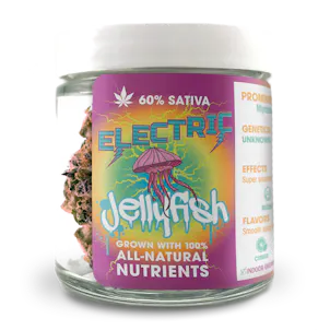 Photo of Electric Jellyfish